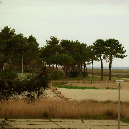 Magnifique Appartement De Type Loft En Front De Mer Avec Vue, Parking Et Wifi Argelès-sur-Mer Exterior foto