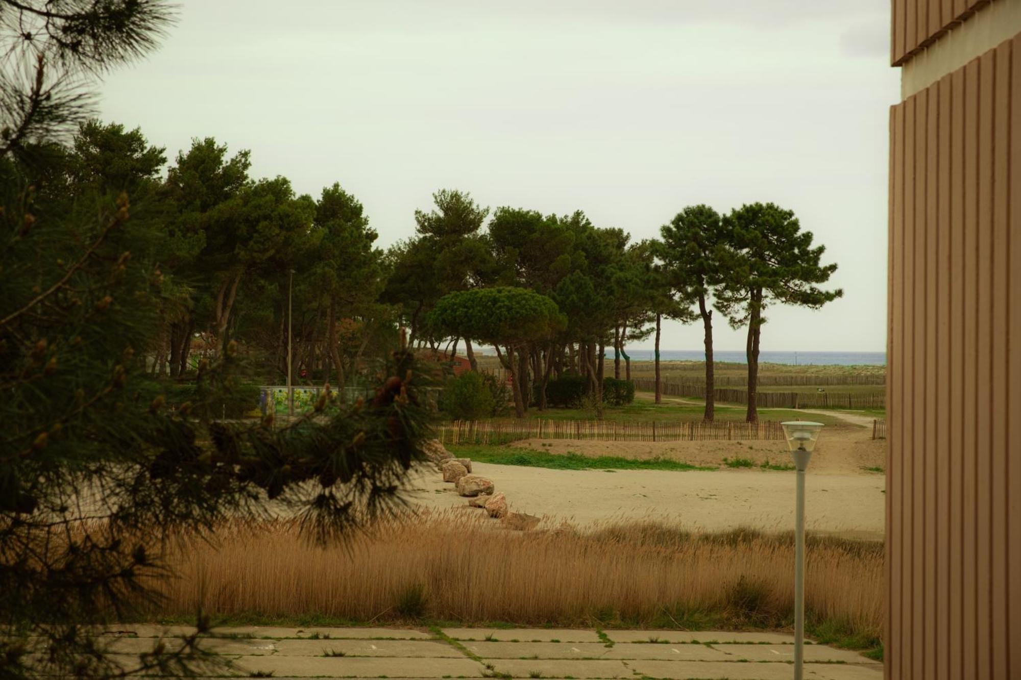 Magnifique Appartement De Type Loft En Front De Mer Avec Vue, Parking Et Wifi Argelès-sur-Mer Exterior foto